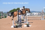 BPP_1413