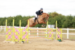 SBM_019038