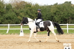 SBM_003523