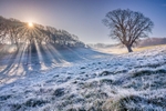 z4357 A Frosty Spring Morning Godshill