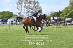BPP_6018