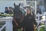 151124-Race 1-Paddock-Clonbury Bridge-7126