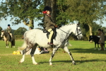 SBM_59214