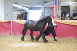 SBM_16596