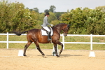 SBM_018435