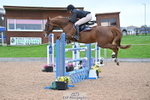 Cls 9 Foxhunter & 1.20m Open portfolio