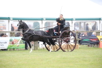 SBM_05941