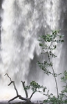 Henrhyd Waterfall