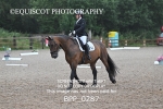 BPP_0287