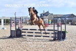 CLASS 2 Club/ Unaffiliated 80cms Open portfolio