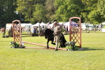SBM_11172