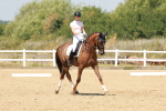 SBM_022274