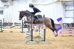 Class 2 - Senior British Novice - 90cm portfolio