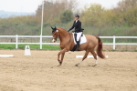 SBM_006770