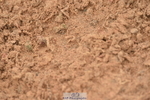 230405A-112910-00394