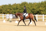 SBM_017720