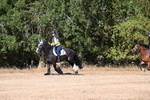 WJ6_7556