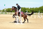 SBM_007083
