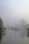 Misty Harbour Reflections