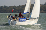 151031 ATHENE II WT7A5524