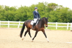 SBM_006599