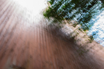 Perceptions of Reality 6