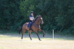 WJ7_4111