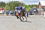 BPP_5040