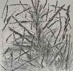 Bogland Strata 41, 60cm x 60cm