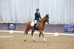 SBM_000385