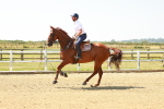 SBM_000641
