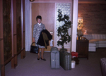 1966 home