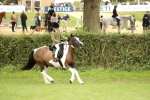 SBM_71573