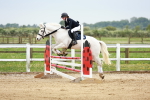 Class 6 - 90cm portfolio