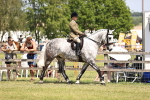 SBM_16082