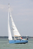 170507 BLUE DOLPHIN - SOUTHERLY 420 1Y3A8841_Edit