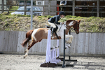 BVRC SJ 170319 561