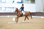 SBM_003463