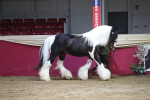 SBM_06537