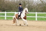 SBM_000678