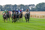 Race 3 15.03pm Sell Your Business With Anderson Barrowcliff Handicap portfolio
