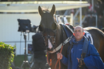 251025-Race 3-Rock My Way-8486