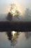 Misty Wye Morning, Bigsweir