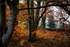 Farnley Woods