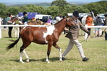 DSC07291