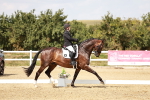 SBM_004220