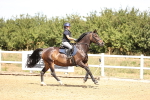 SBM_000818