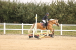 SBM_000397