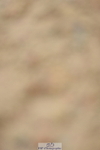 230916A-115132-03740
