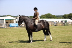 SBM_17879